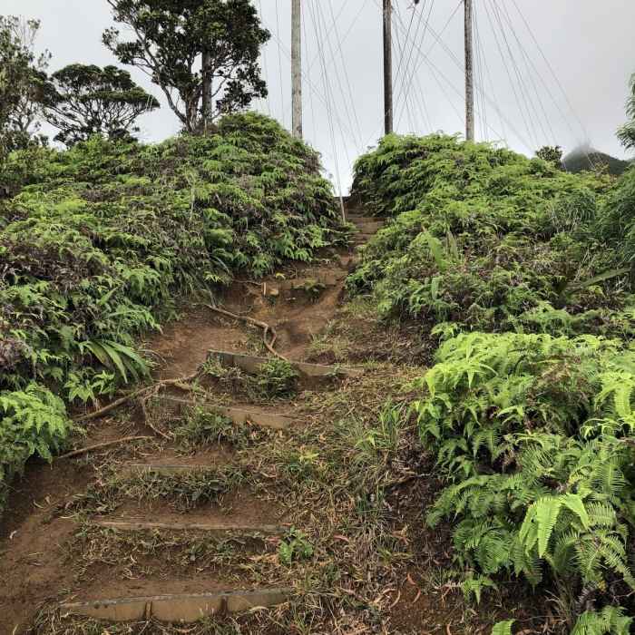 Trail at one of the steep ascents Near Wiliwilinui Ridge Trail