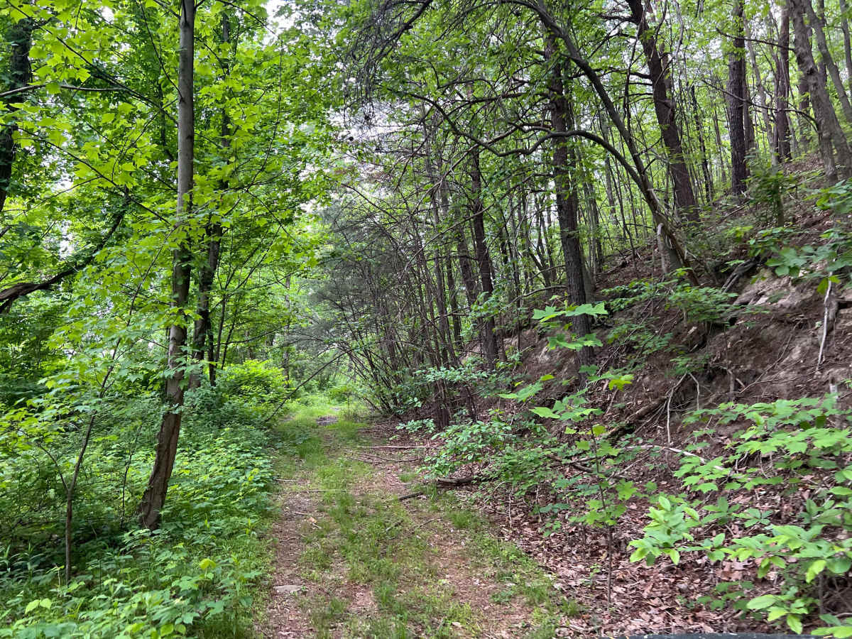 Q58 - Wildcat Hole photo 3