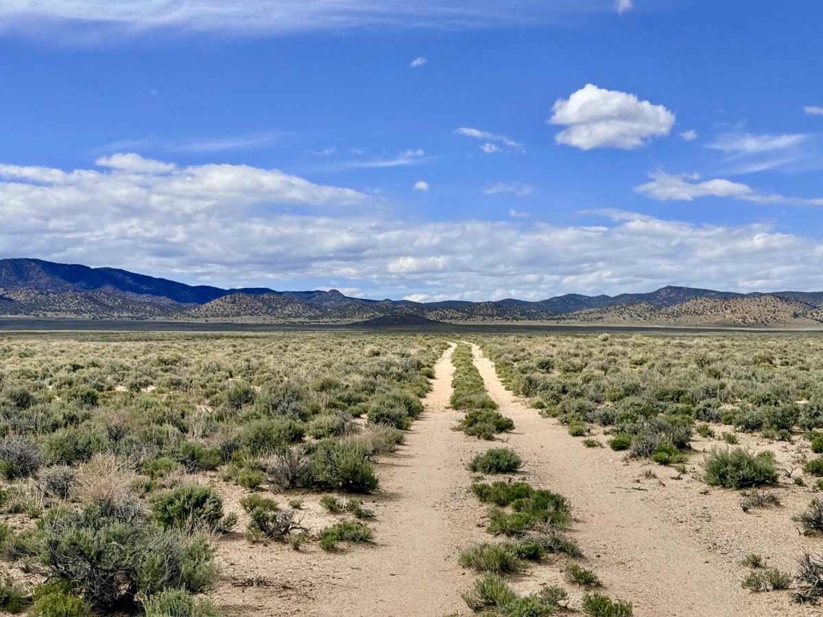 Spanish Spring - FS 44015 trail photo