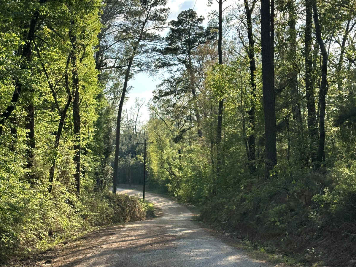 County Road 2729 photo 3