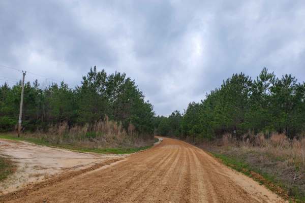Highway 24 to Poison Springs WMA