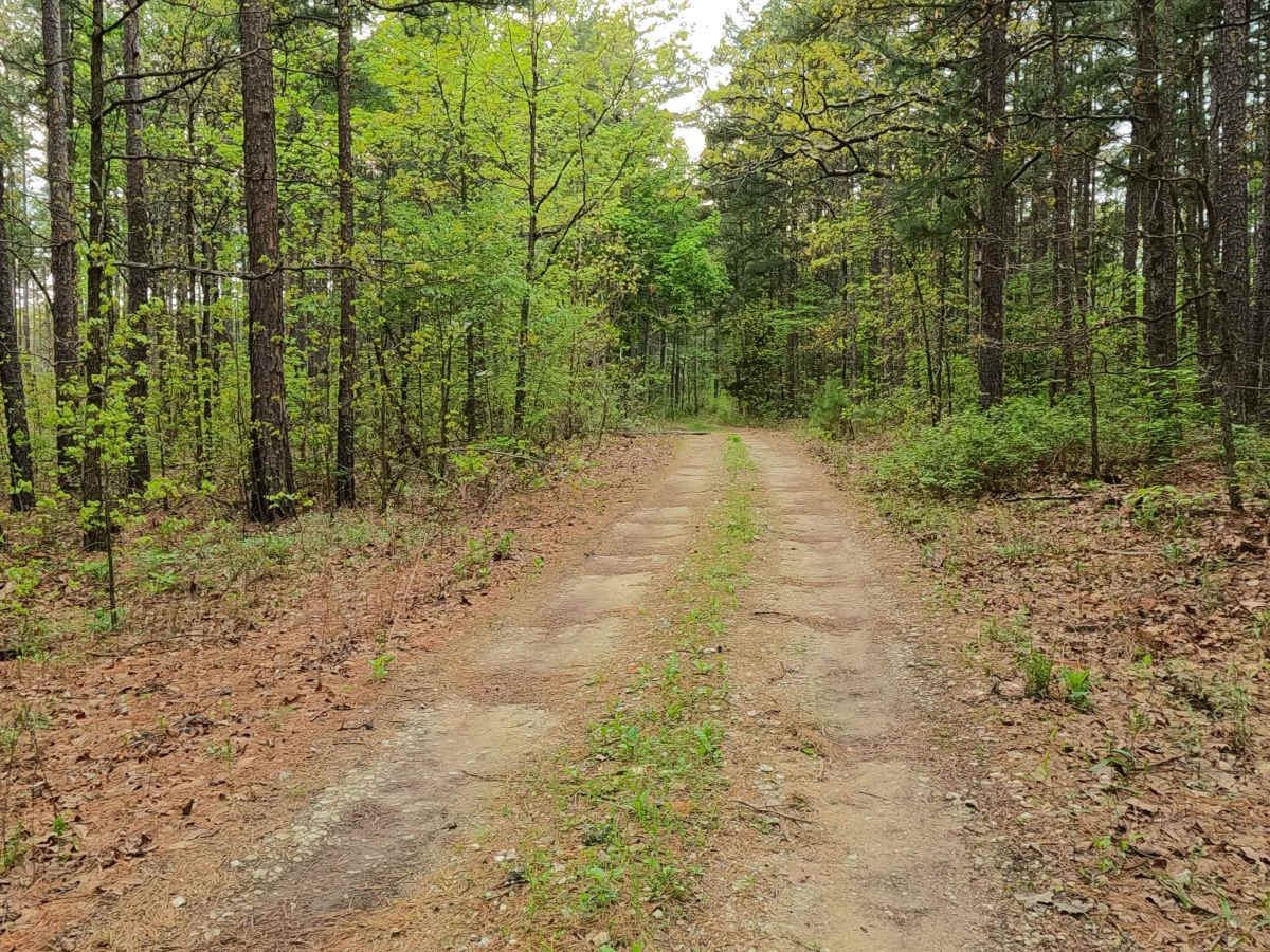 James Ridge - FS 2754 photo 4