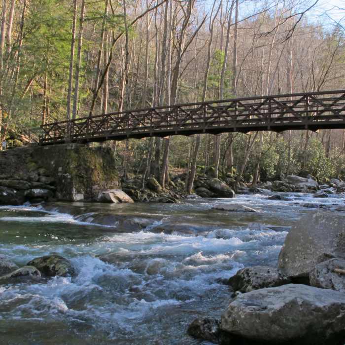 Big Creek Near Big Creek Trail