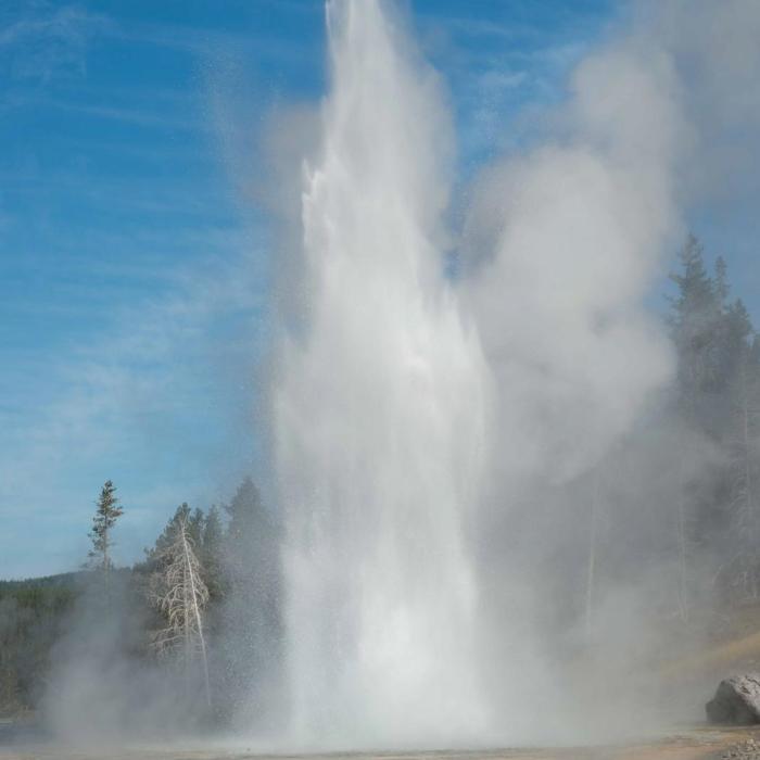 Near Upper Geyser Basin
