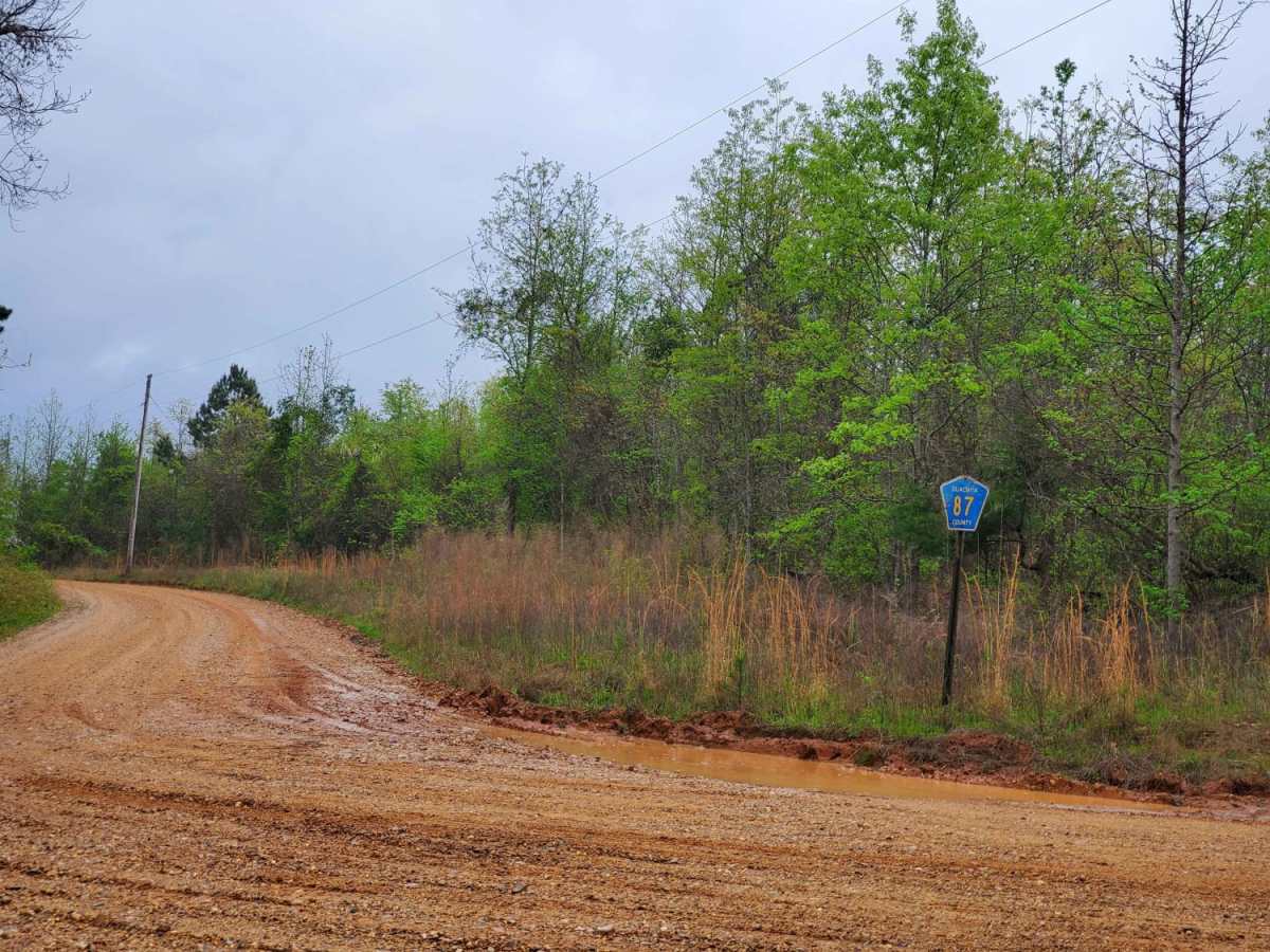 The Arkansas Overland Route - Section 6 - Highway 278 to Highway 79 photo 3