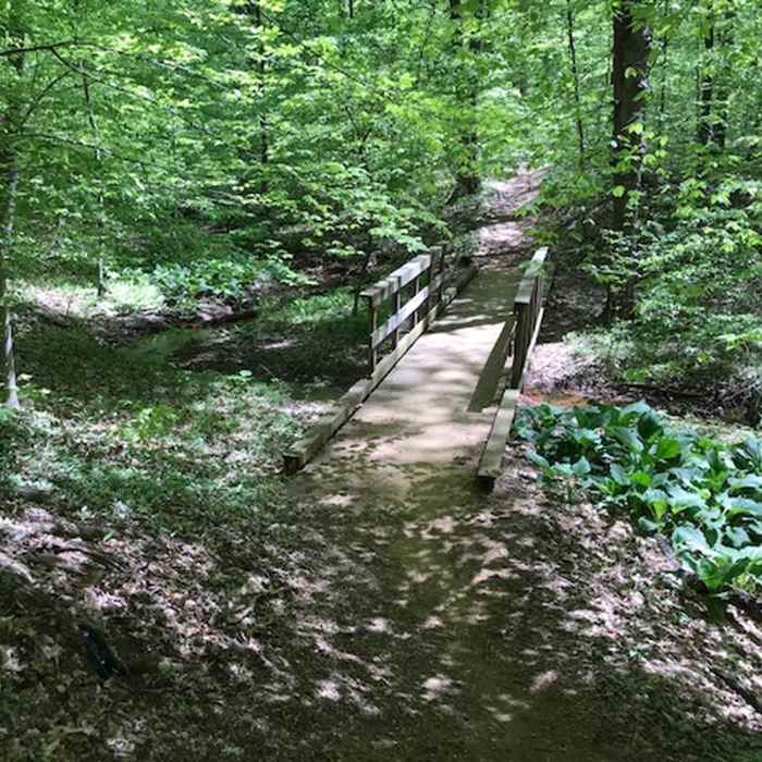 Another bridge Near Clayton Park Loop