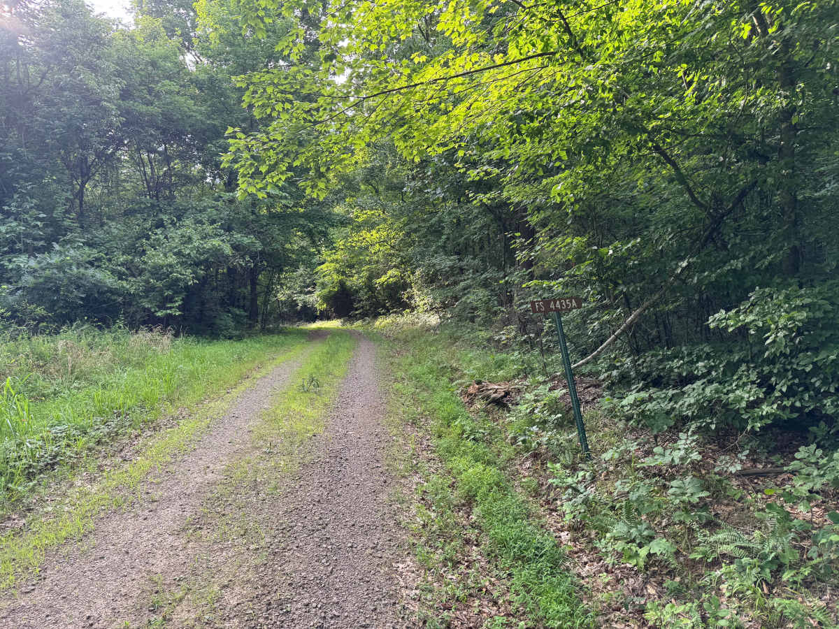 FS 4435A trail photo