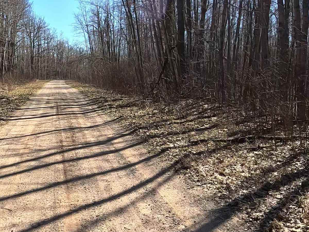 Summers Road - FS 4451 photo 6