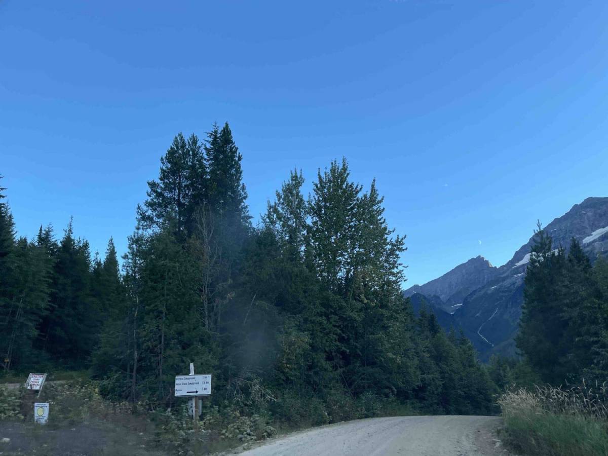 Canoe River Road to Kinbasket Lake photo 2