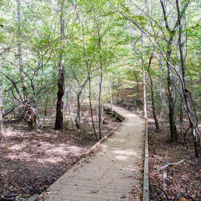 Near Gold Branch Trail Near Gold Branch Trail