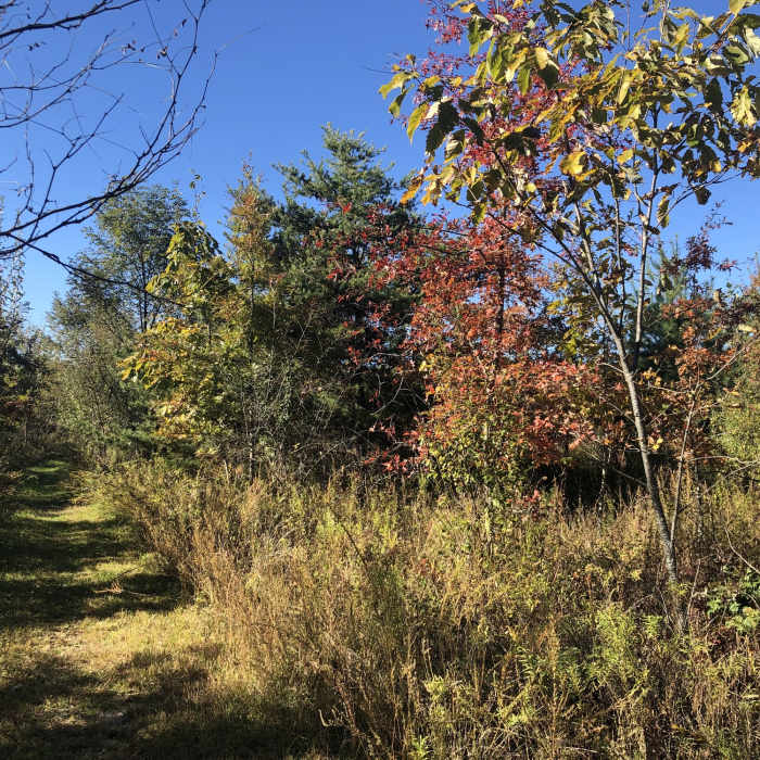 Near The Bowl