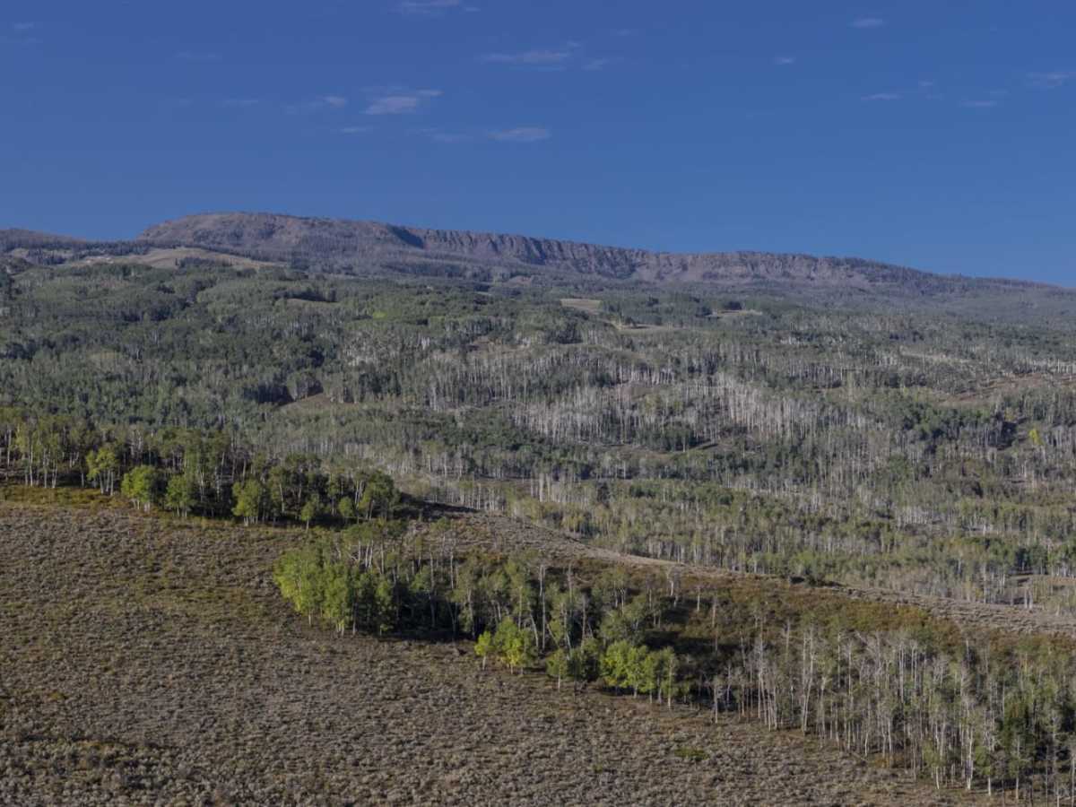 Meadow Gulch Trail photo 5