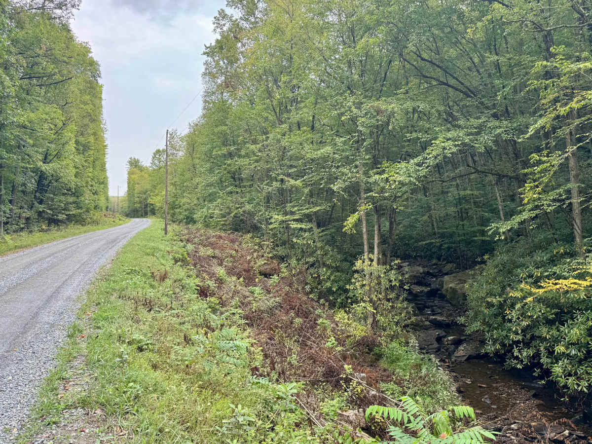 Jack Dent Road trail photo