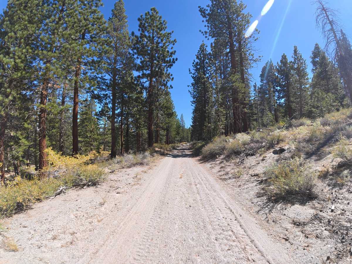 Ole Cease Connection trail photo