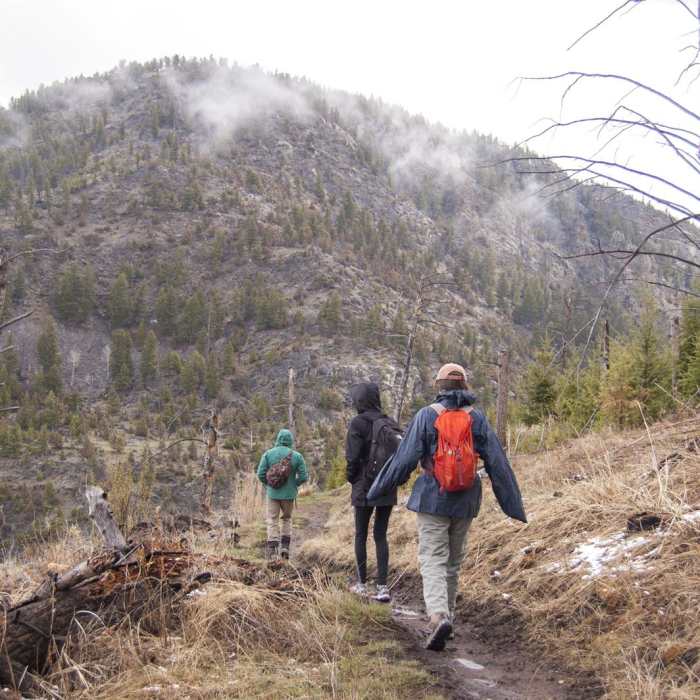 Near Coyote Creek Trail