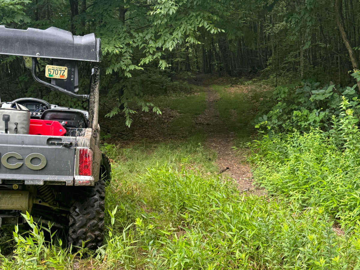 Trail 80 trail photo