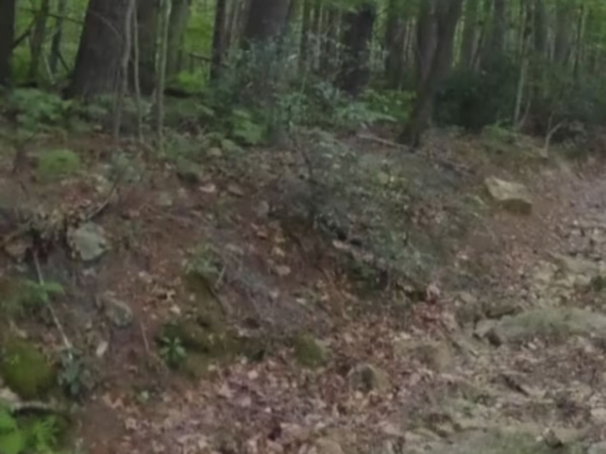 Berry Mountain Climb photo 5