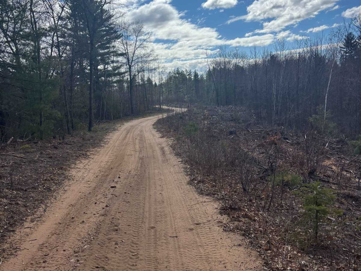 Nauke Road Trail trail photo