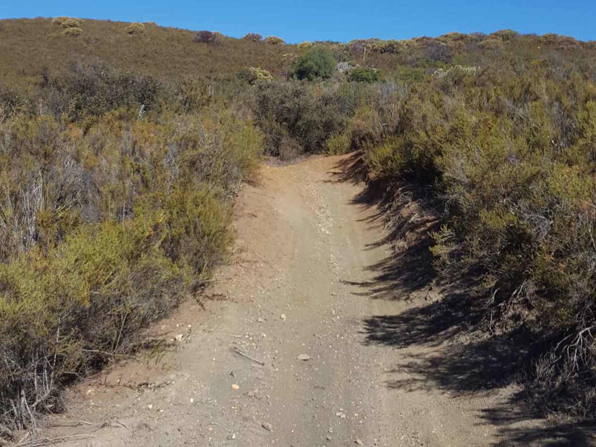 Corral - Trail 2 photo 3