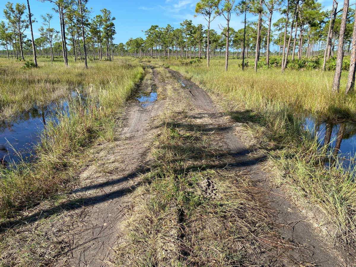 Road 3 photo 5