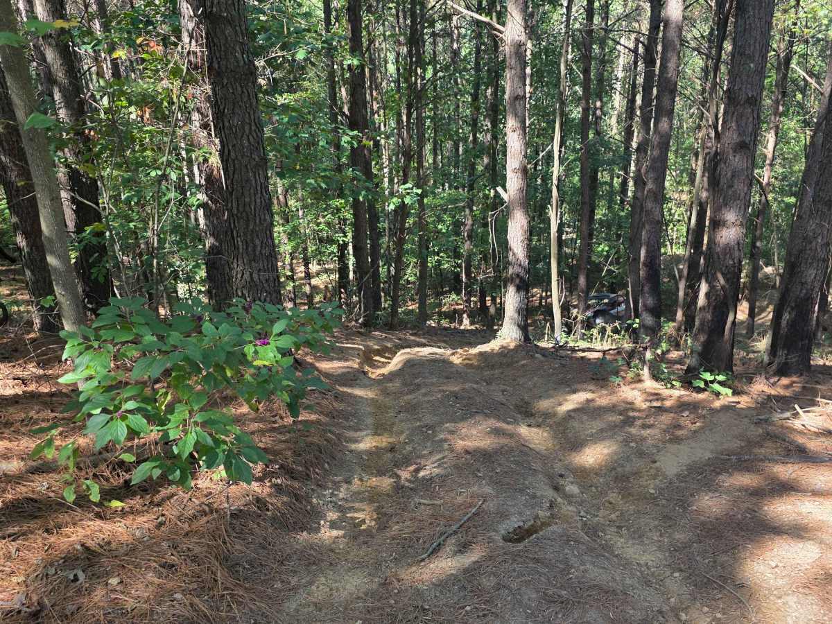 Sidewinder photo 3