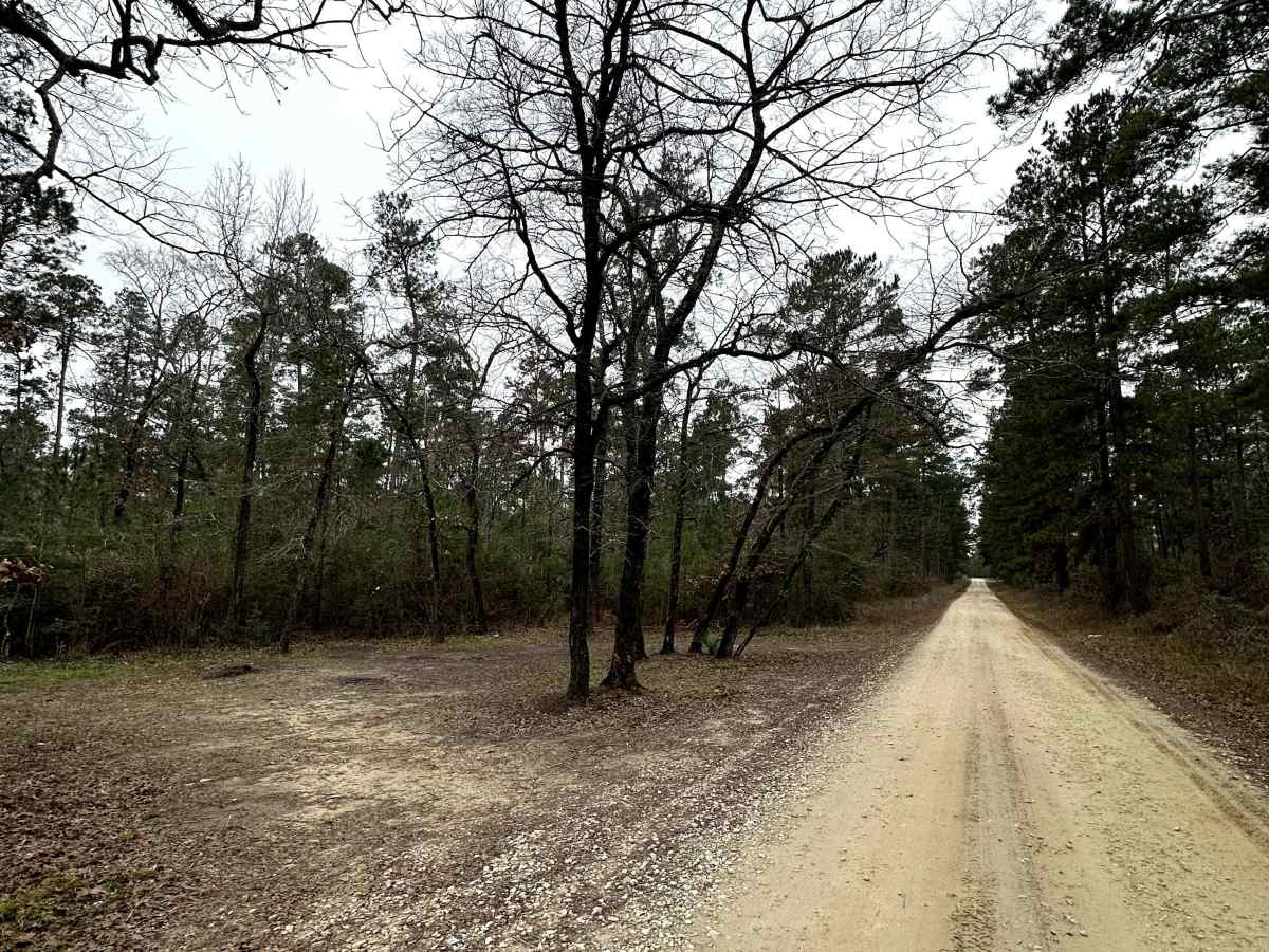 Kelly's Pond Road - FS 271 photo 5