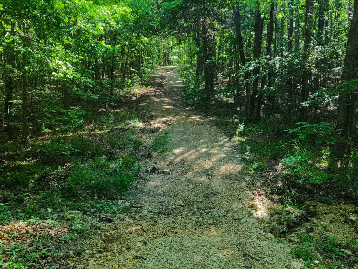 Harmon Ridge - FS 3712 photo 5