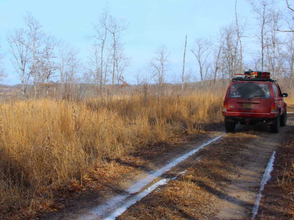 Tick Hollow - FS 423A trail photo