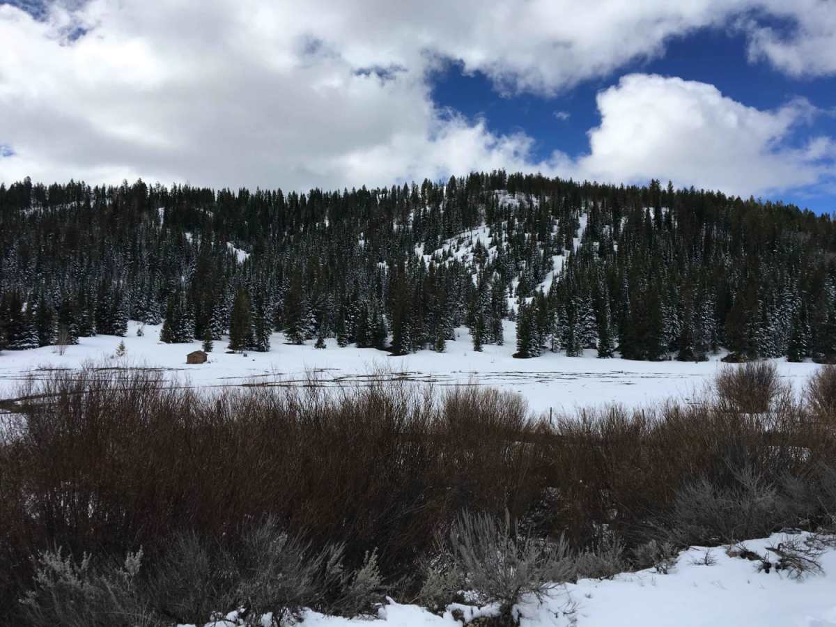 Idaho Falls to Wolverine Canyon photo 4