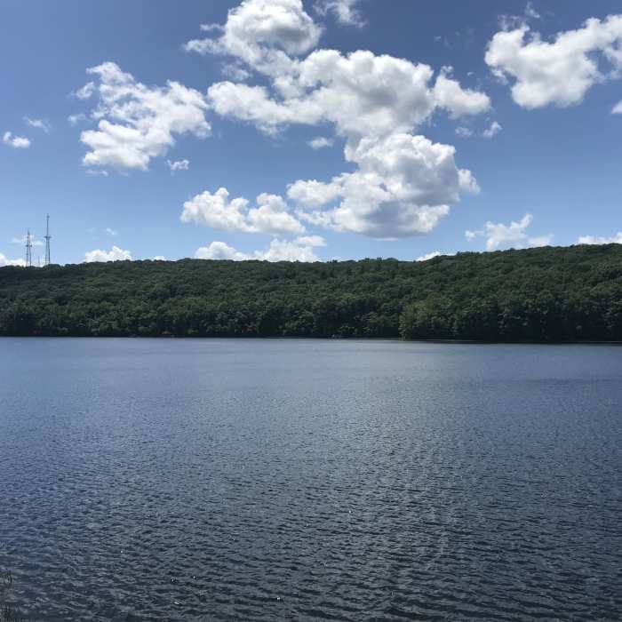 Near West Rock Ridge Loop