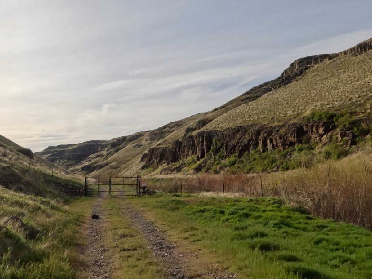 Cayuse Road photo 2