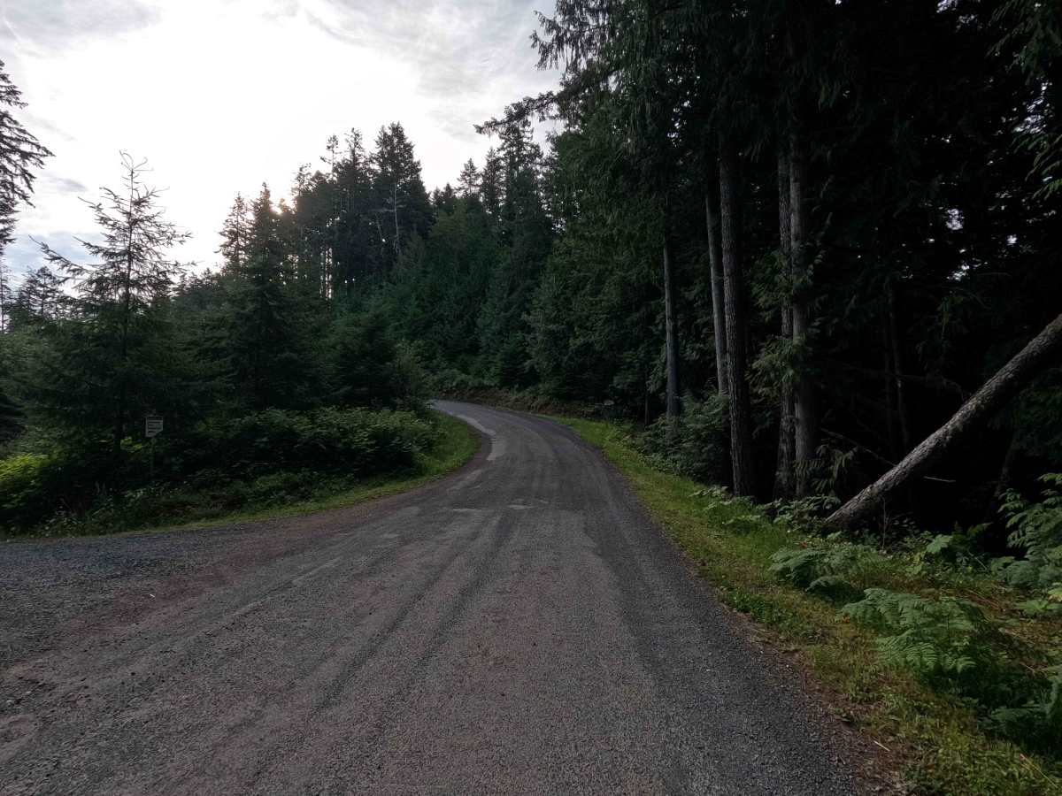 Little River Road photo 6