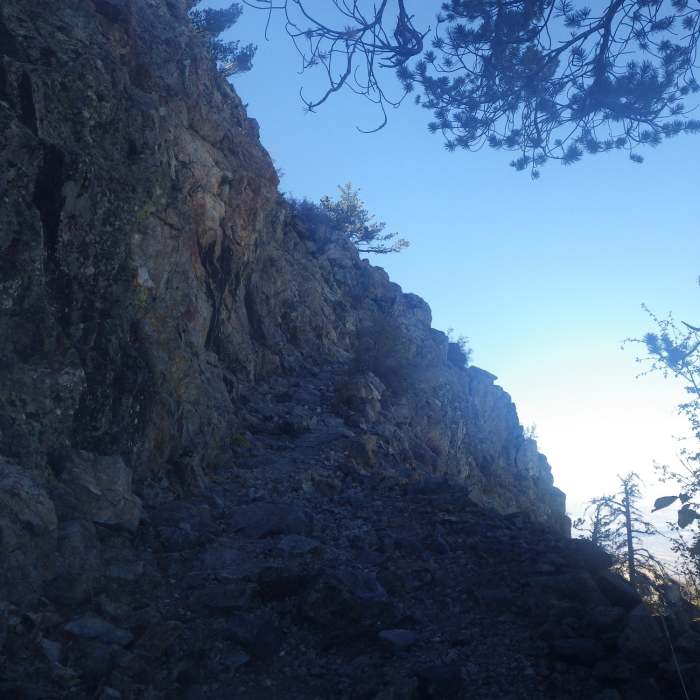 Near Crest Trail #144