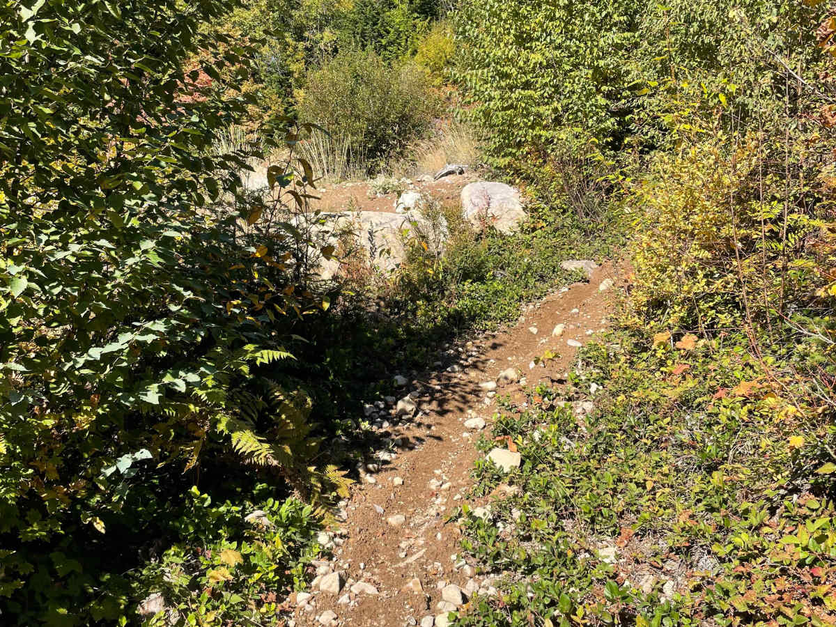 Lower Hydro Climb photo 6