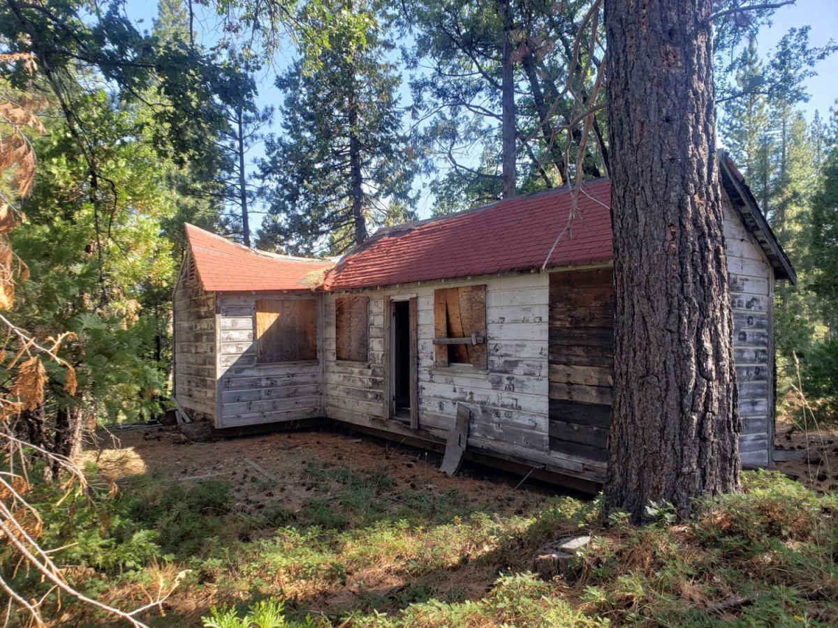 Soda Creek Logging Camp photo 4
