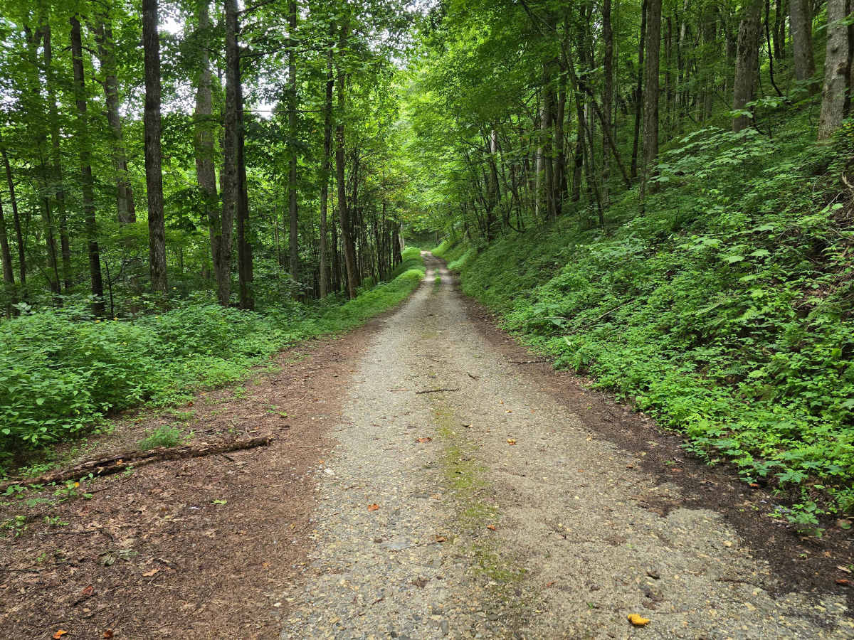 Derreberry Gap - FS 6148 photo 6