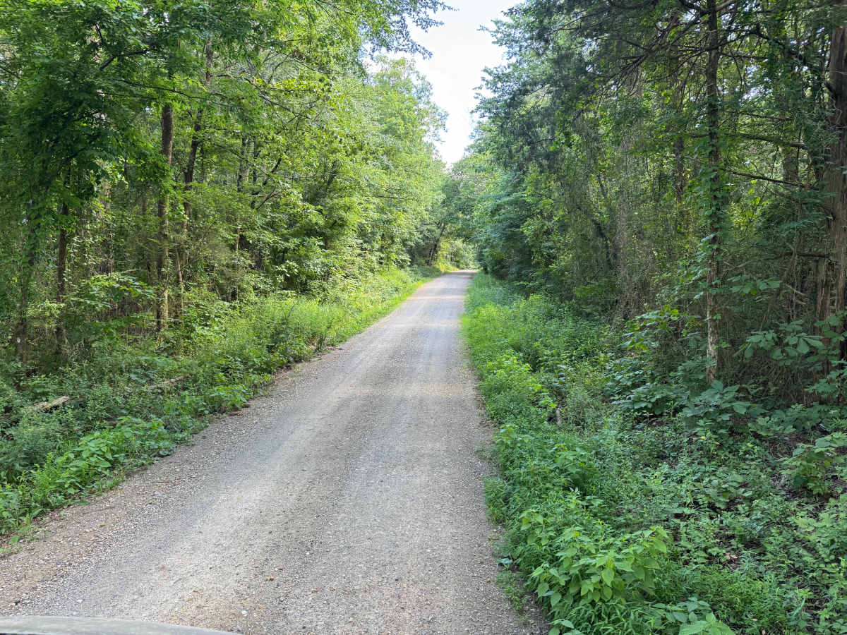 North Gaston Mountain Road trail photo