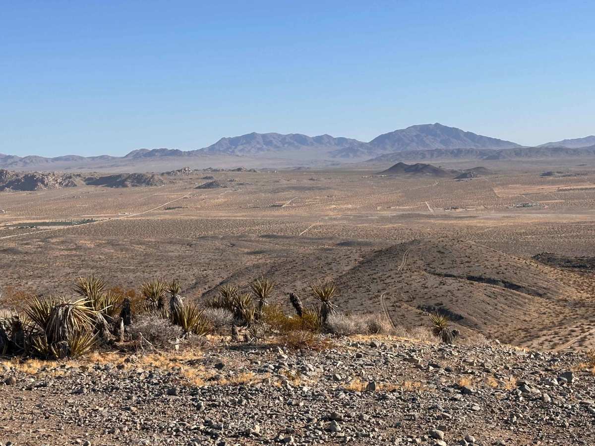 Desert Crown photo 3