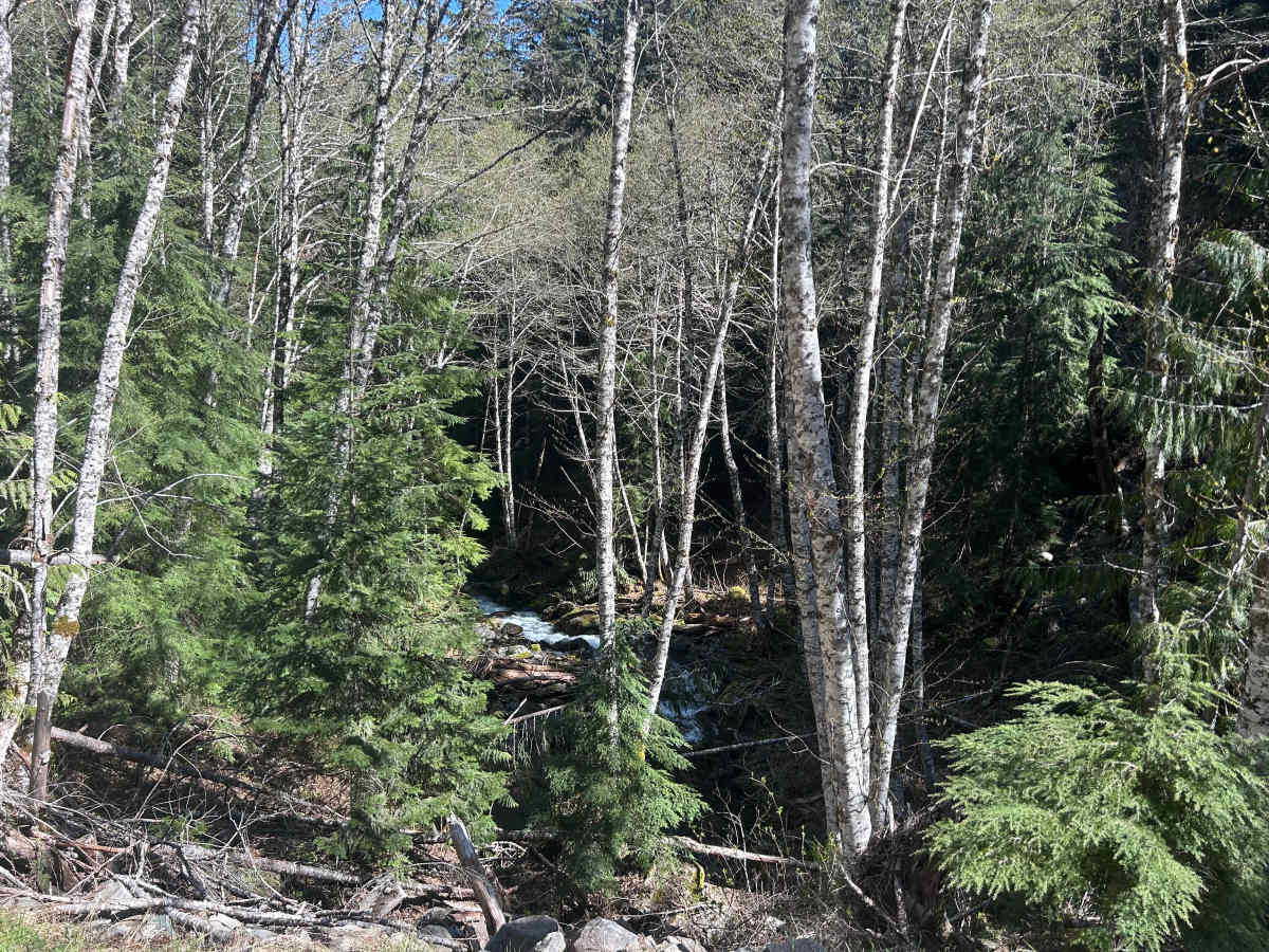 Lava Creek Road photo 4