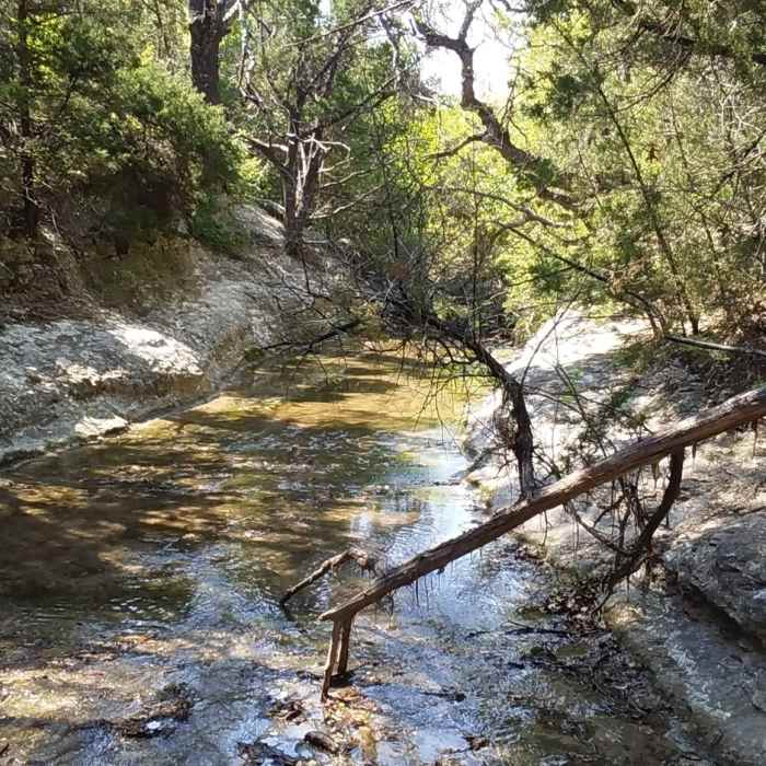 Near Northern Walnut Creek Trail