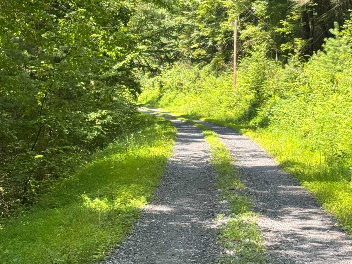 Schoolhouse Road photo 5