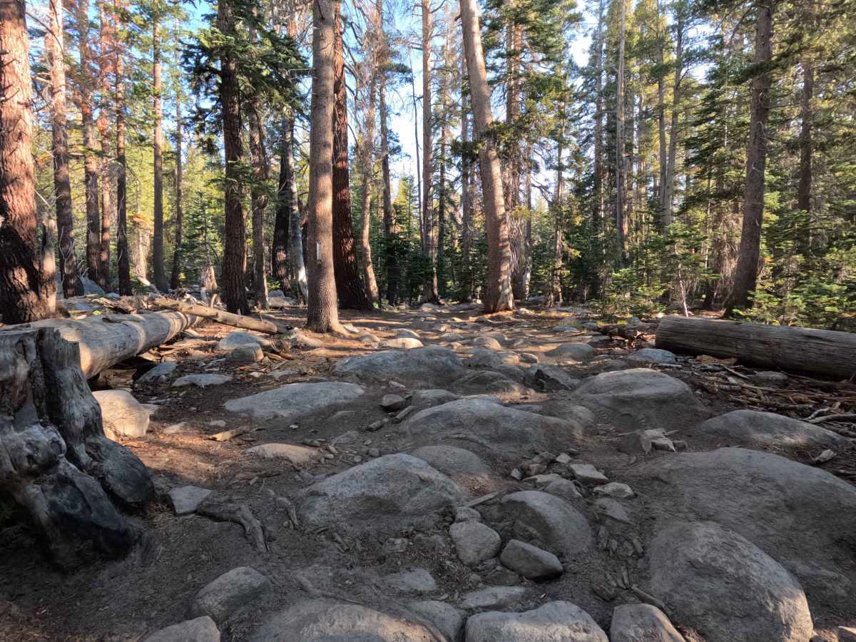 Strawberry Lake - FS 26E214 photo 3