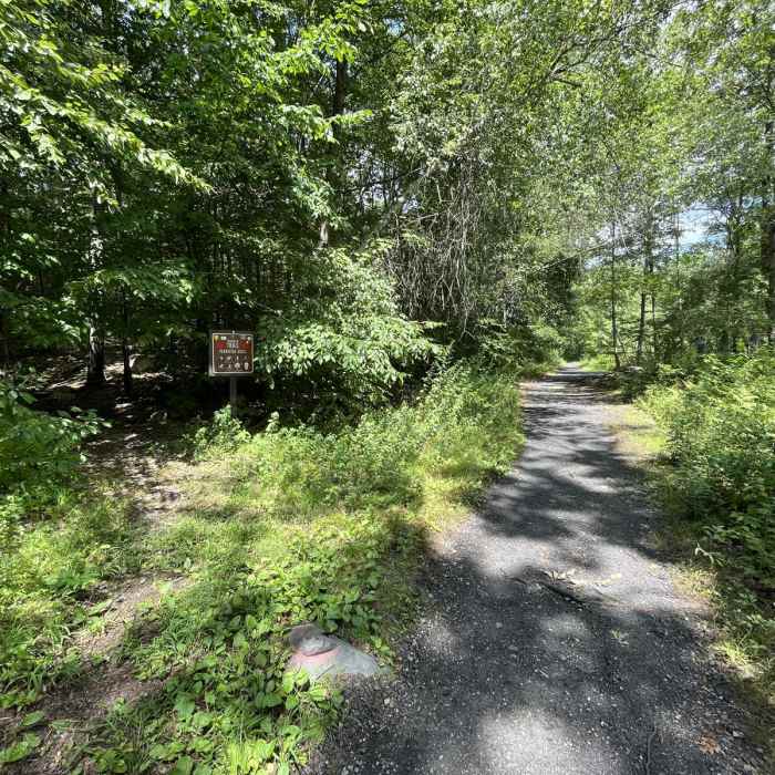 Near Ranger Loop Trail Near Ranger Loop Trail