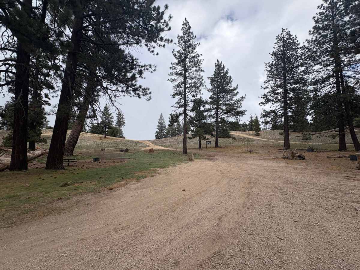 Camp Marion - FS 9N34 trail photo