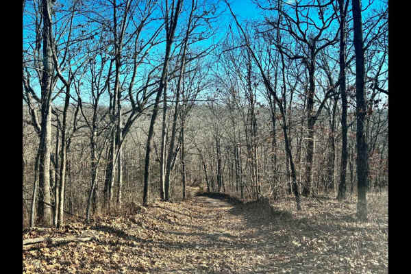 Galveston Road 