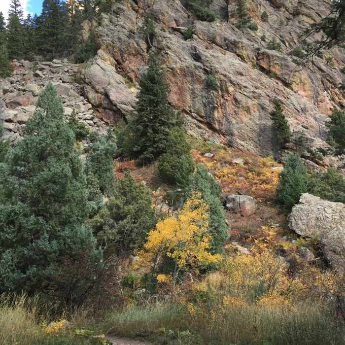 Near Shadow Canyon South