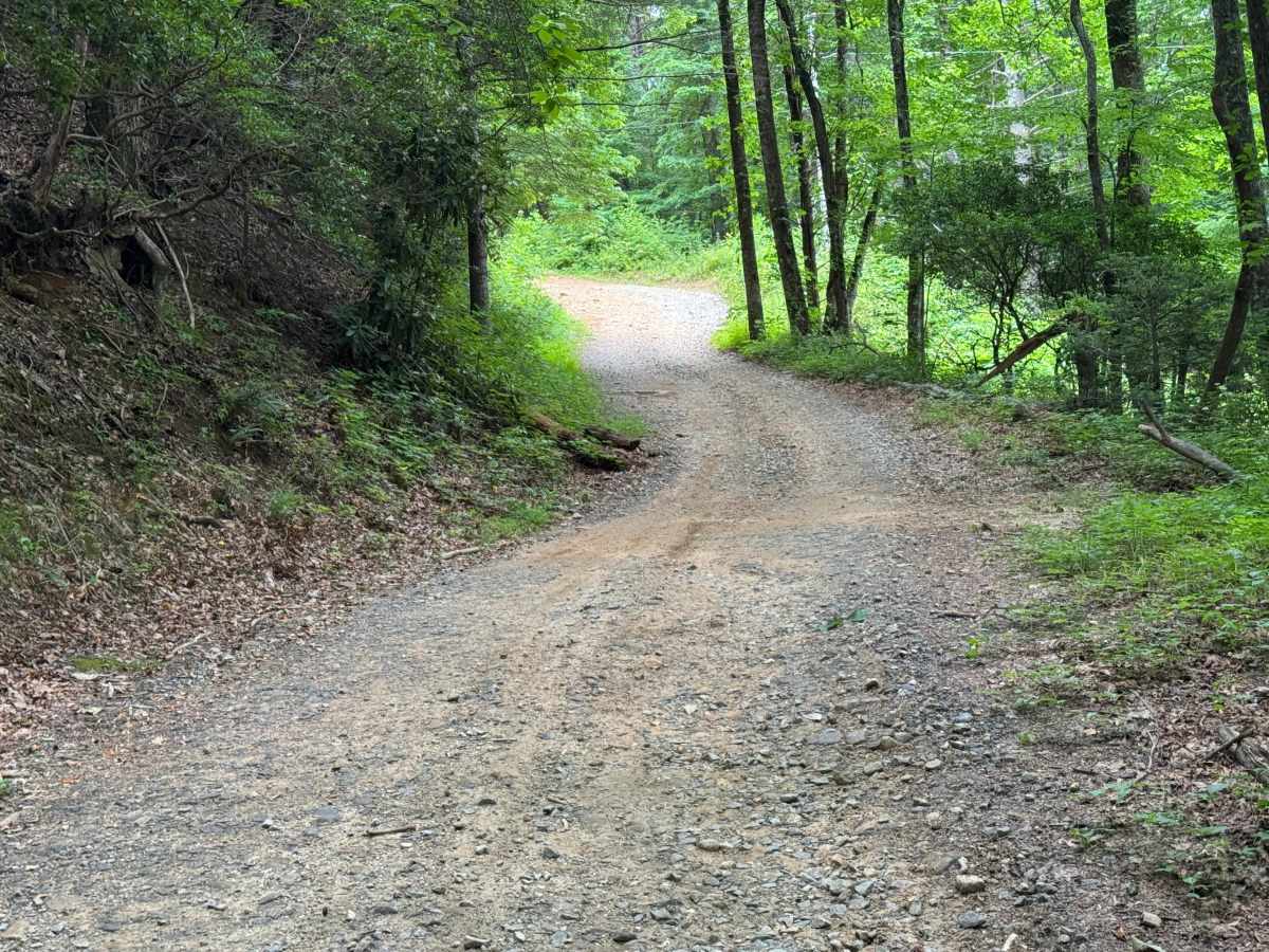 Charlies Creek Road photo 3
