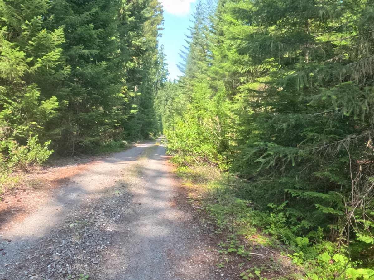 East Ofay - FS 2261405 photo 6