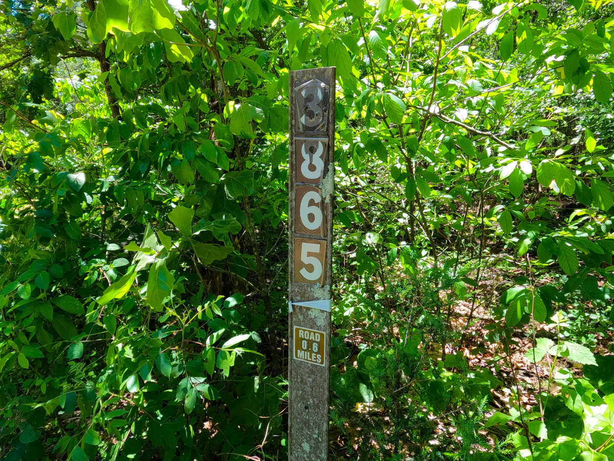 Spot - FS 3865 trail photo