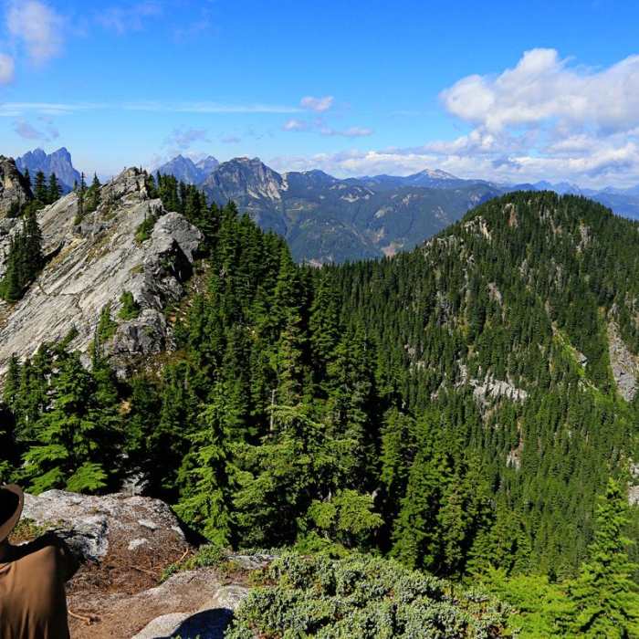 Near Beckler Peak Trail